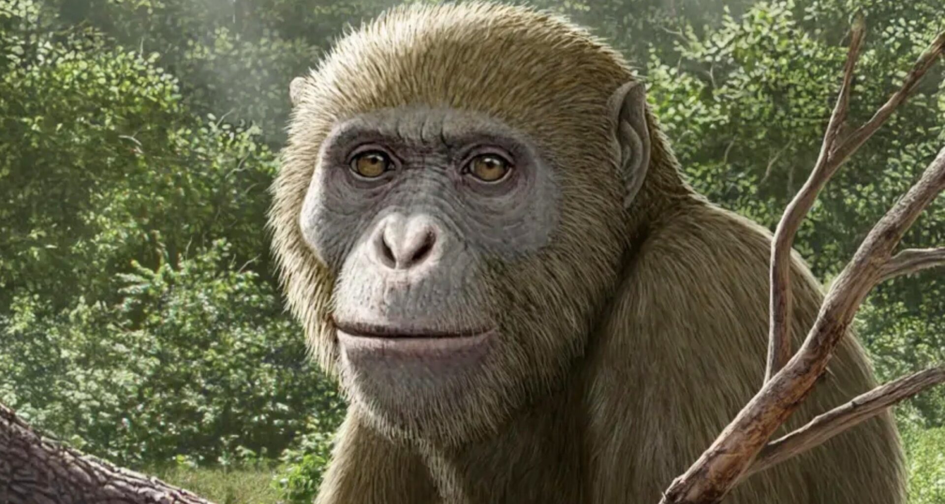 Ancient ape fossil from Egypt may rewrite the human origin story