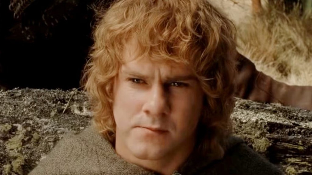 Merry frowning in The Lord of the Rings