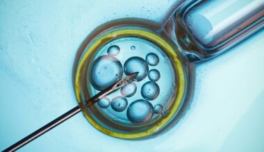 Major Study Finds IVF Not Linked to Cancer Risk, But There's a Catch : ScienceAlert