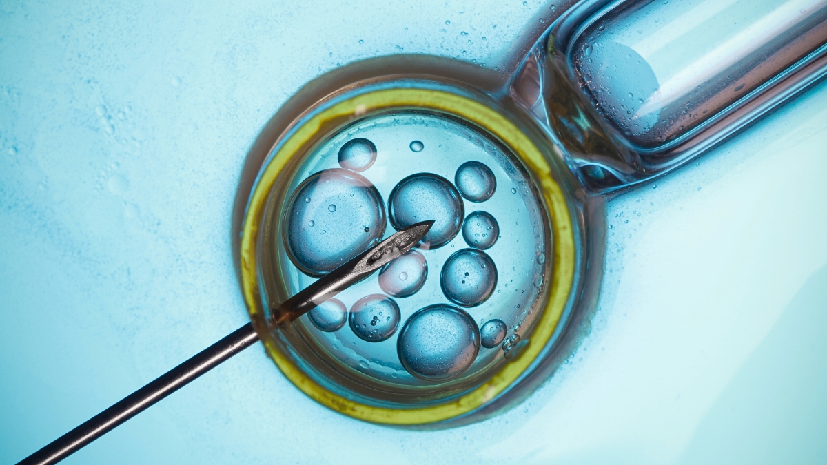 Major Study Finds IVF Not Linked to Cancer Risk, But There's a Catch : ScienceAlert
