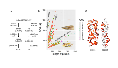 Minimal Amino Acid Alphabet for Protein Design