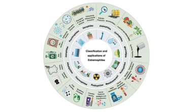 Molecular Adaptations And Engineering Of Extremophiles For Synthetic Biology And Biotechnological Applications