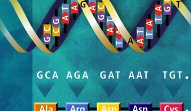 Hepatitis C drug may prevent hepatitis E virus replication