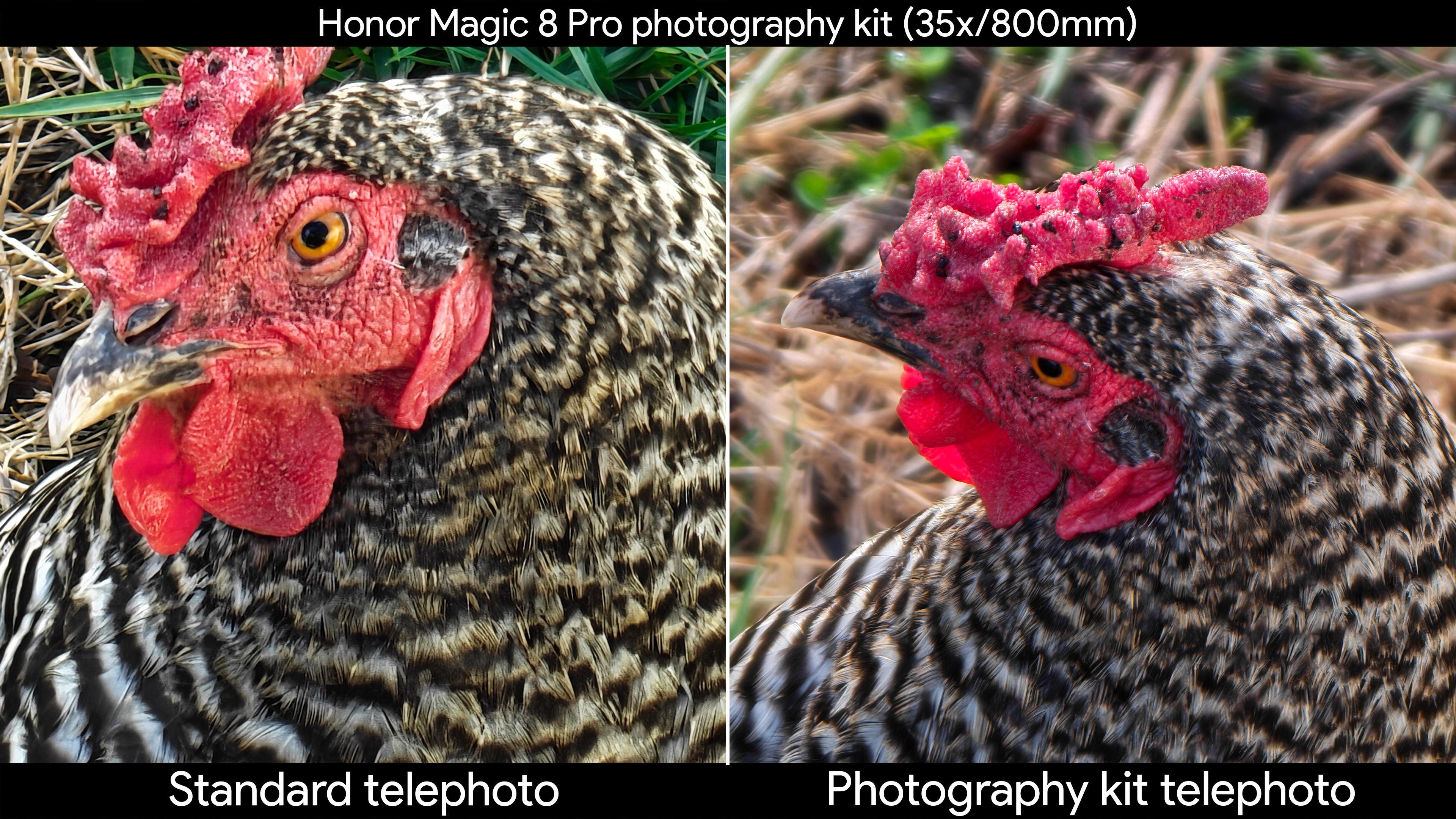 Comparing the Honor Magic 8 Pro's standard telephoto camera to the quality produced by the official photography kit's telephoto extender lens