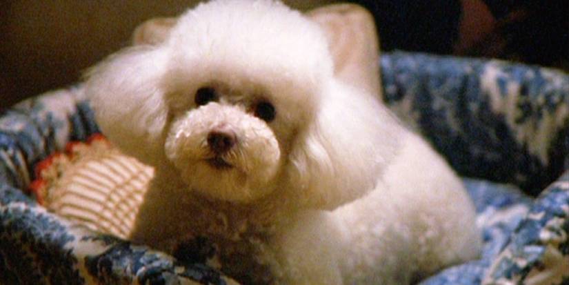 Precious from Silence of the Lambs