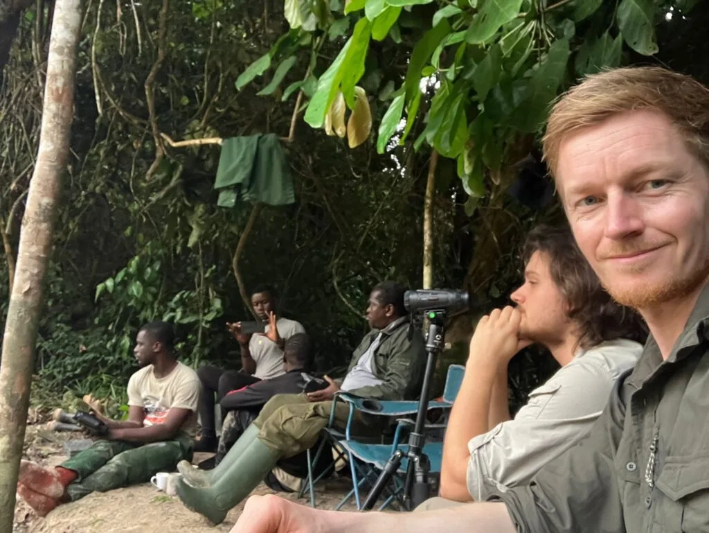 Researchers working with pigmy hippos