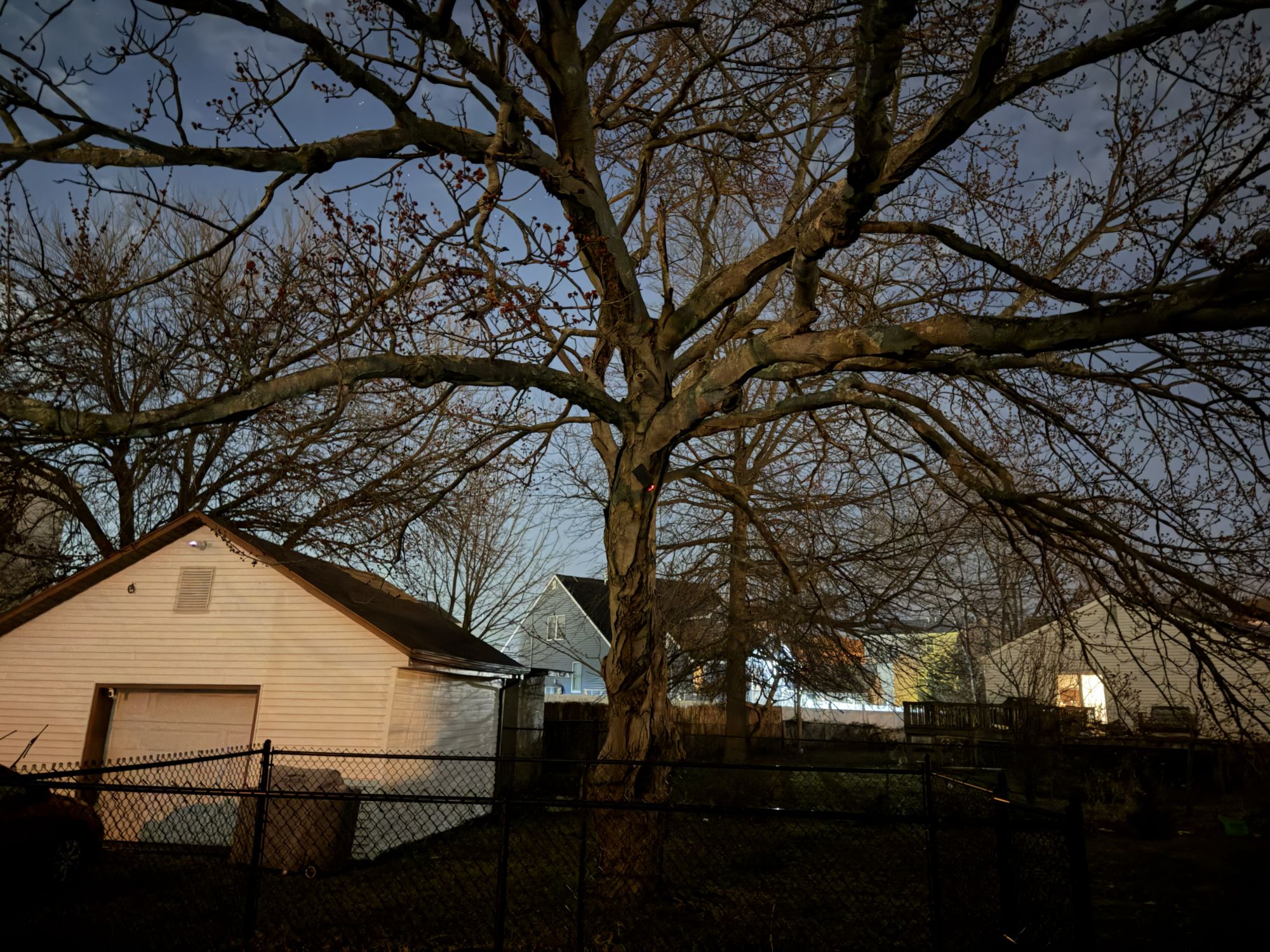 Apple iPhone 17 Pro Max low light sample.