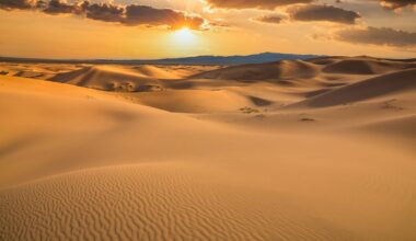 United Arab Emirates