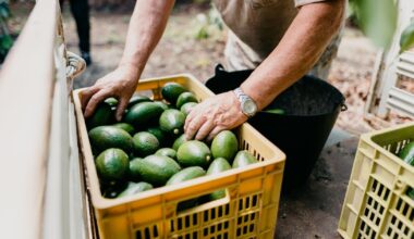 Kenya targets export boom as China removes tariffs on farm goods