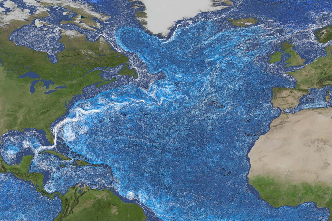 Shift in the Gulf Stream could signal ocean current collapse