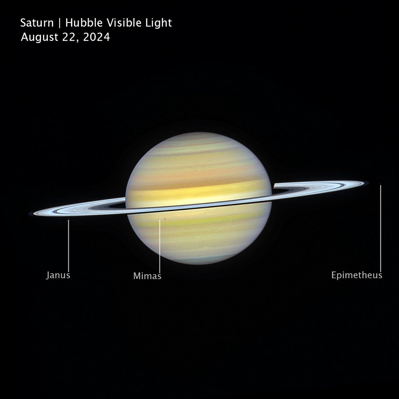 An image of Saturn on the black background of space. Image is labeled Saturn, Hubble Visible Light, August 22, 2024. Saturn’s horizontal bands appear pale yellow, with some bands towards the north and south pole having a light blue hue. The rings appear bright white, glowing slightly less than Webb’s infrared image. White dots, representing several of Saturn’s moons, are labeled Janus, Mimas, and Epimetheus. Mimas casts a small dark circular shadow onto Saturn’s surface.