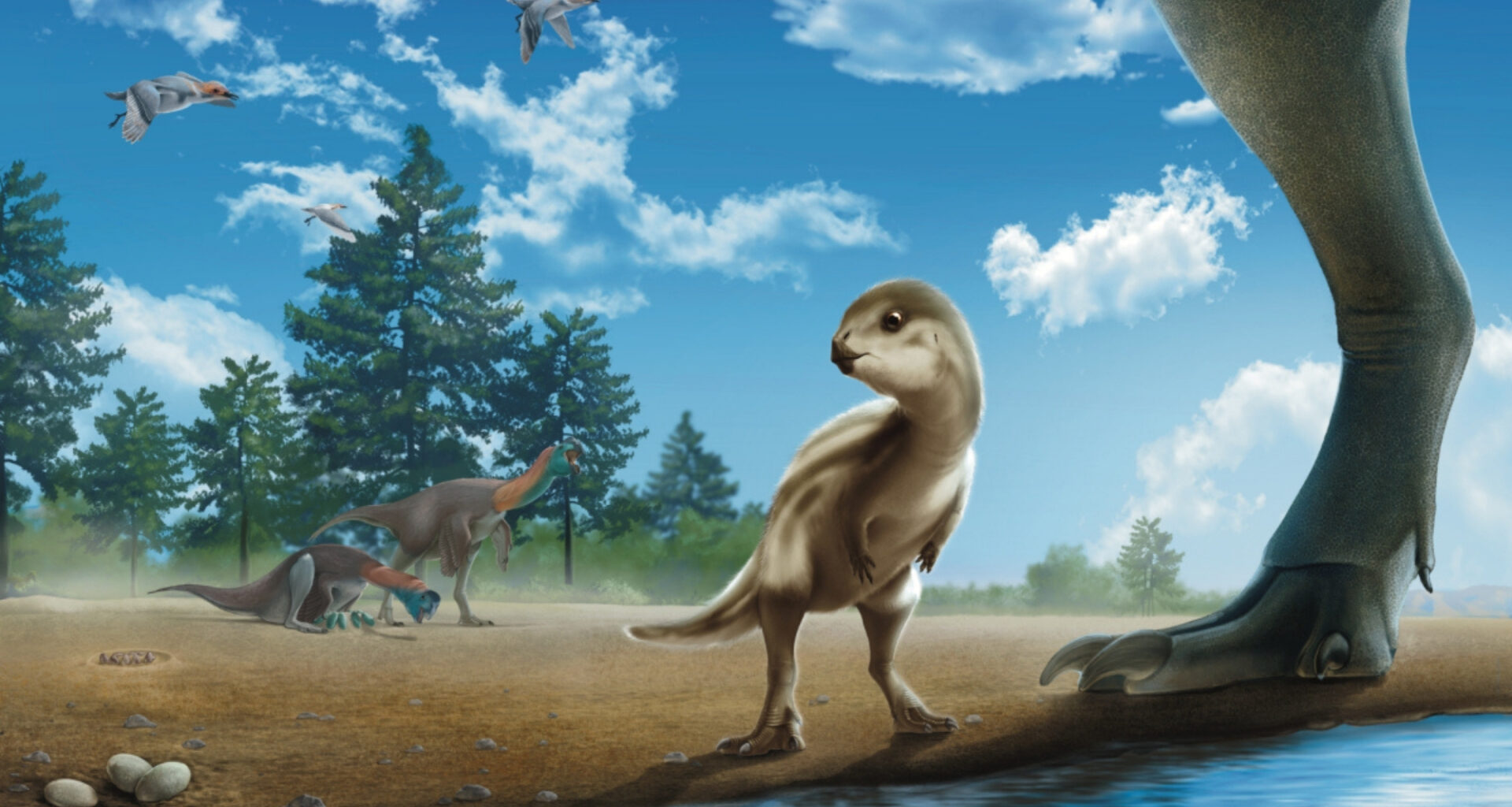 Scientists Discovered a New Dinosaur Species in South Korea, and It’s Named After a Cartoon