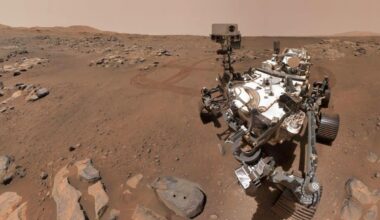 Scientists Have Released Nasa Rover Photos Showing Possible Insect And Reptile Life Forms On Mars