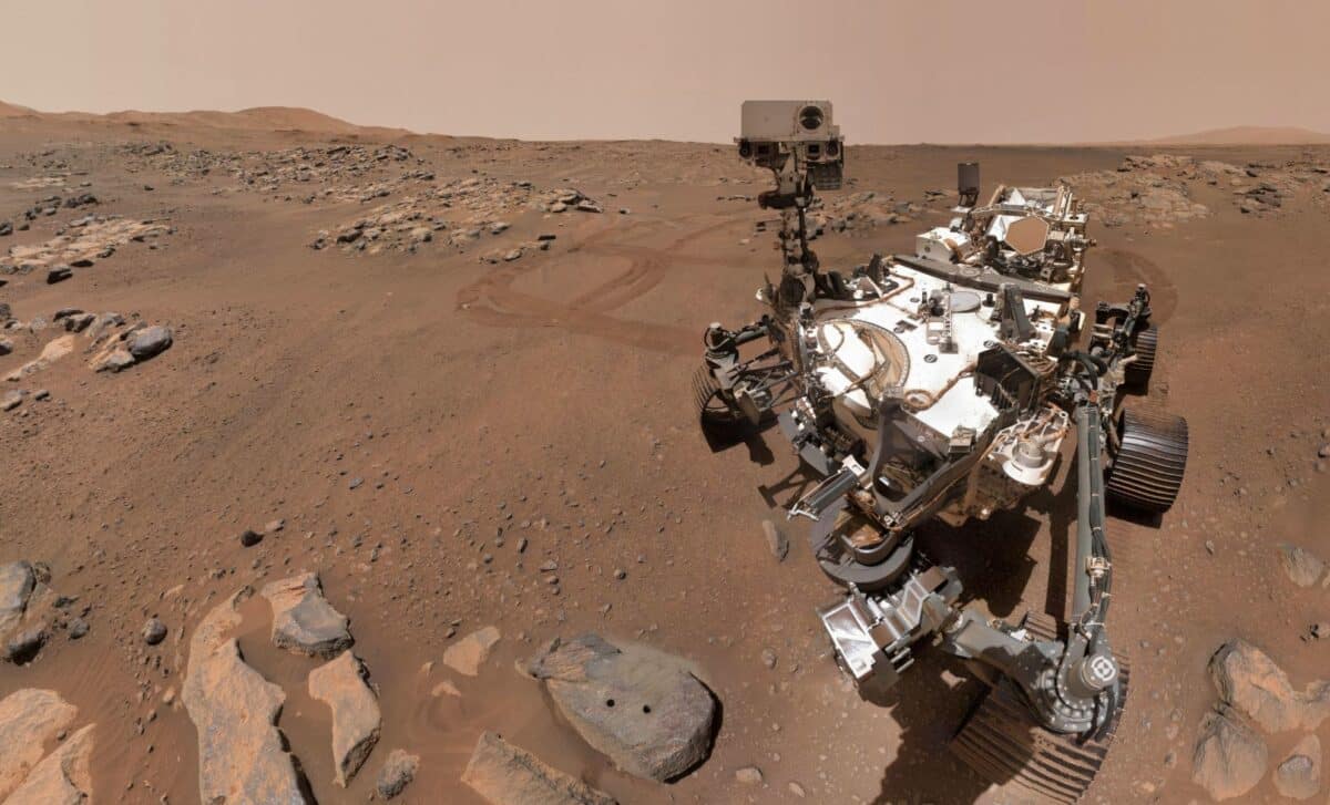 Scientists Have Released Nasa Rover Photos Showing Possible Insect And Reptile Life Forms On Mars