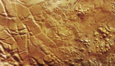 Scientists May Have Found A Completely New Mineral Hidden On Mars