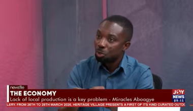 Economy ‘still vulnerable and import-dependent’ - Miracles Aboagye