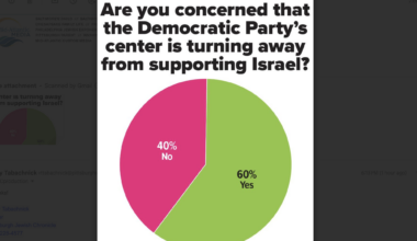 Chronicle poll results: Democratic Party's support for Israel
