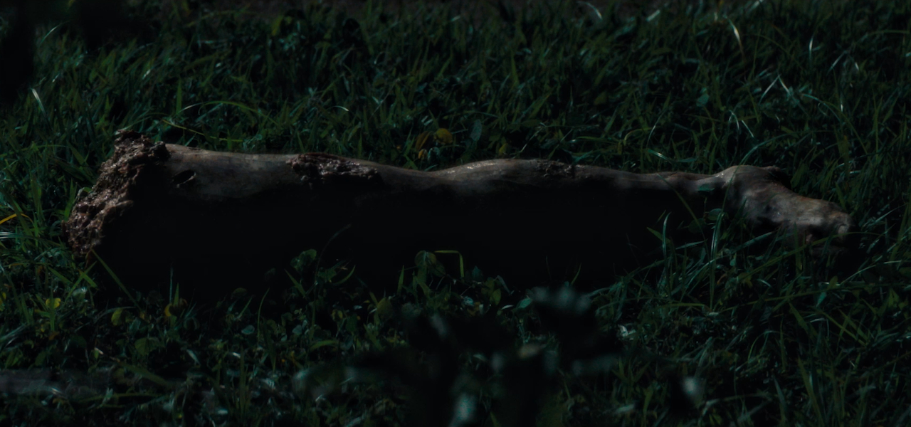 Secret Agent Hairy Leg