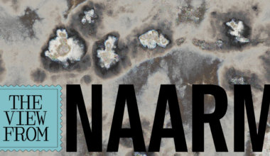 The design trend taking root in Naarm, and the designers doing it best