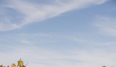 Taylor Lautner and Taylor Dome Are Expecting Their First Child: See the First Photos Here