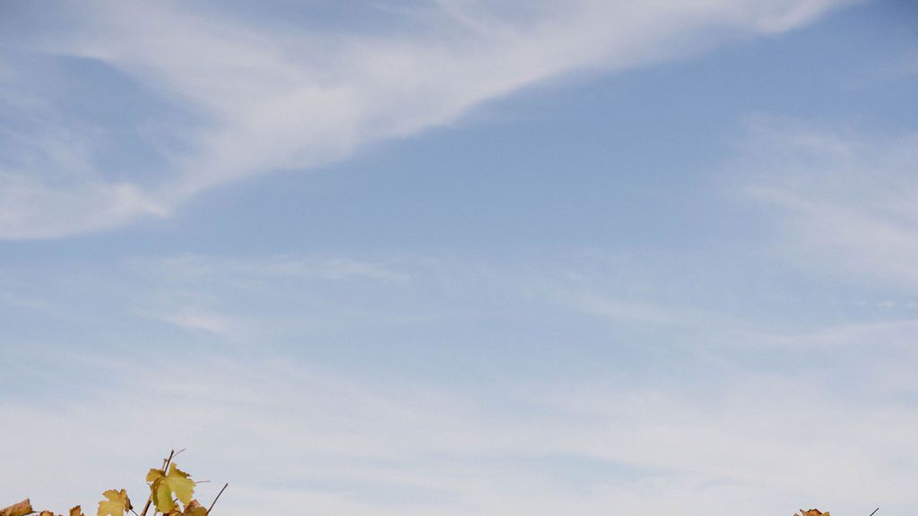 Taylor Lautner and Taylor Dome Are Expecting Their First Child: See the First Photos Here