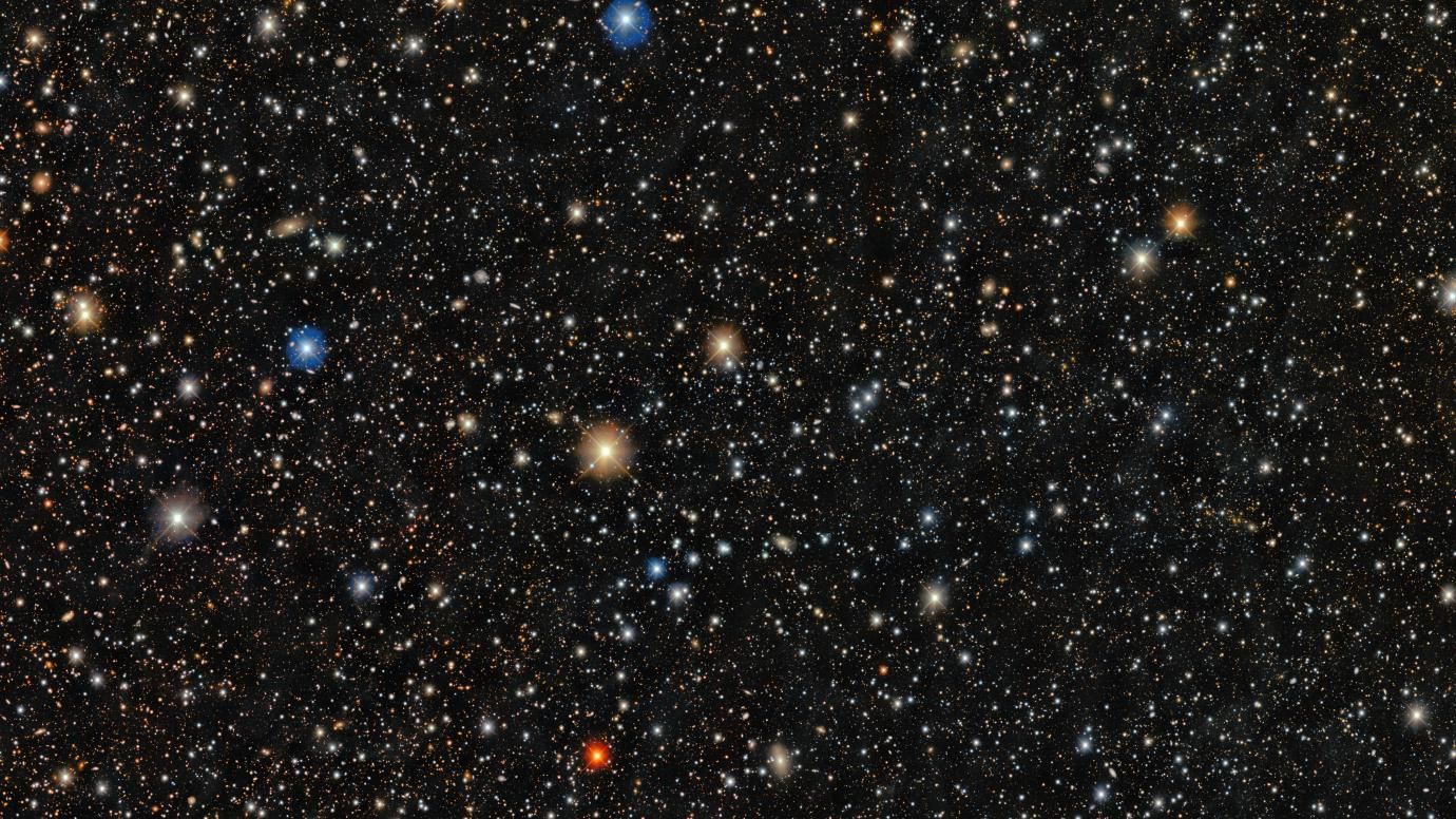 A glistening field of stars against a black background.