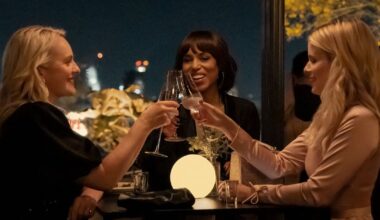 Flaws here are clunky scripting and an implausible plot – The Irish Times