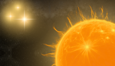 An illustration of an orange star in the foreground with three twinkling stars in the background.