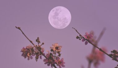 April's full moon decides the date of Easter — here's how it works