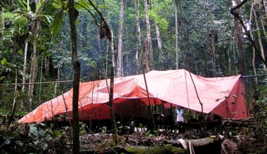 Vogelkop jungle camp, New Guinea