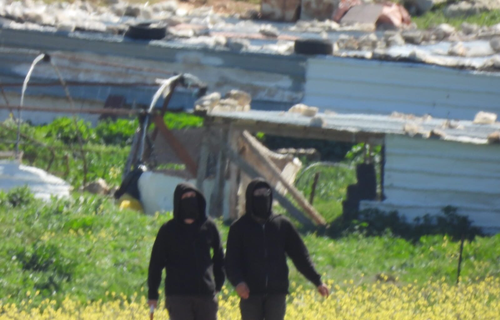 Wave of settler attacks against Palestinian herders reported in central West Bank