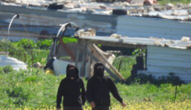 Wave of settler attacks against Palestinian herders reported in central West Bank