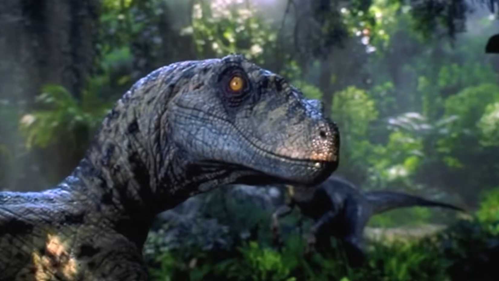 A raptor looking menacingly at the camera from Jurassic Park 3