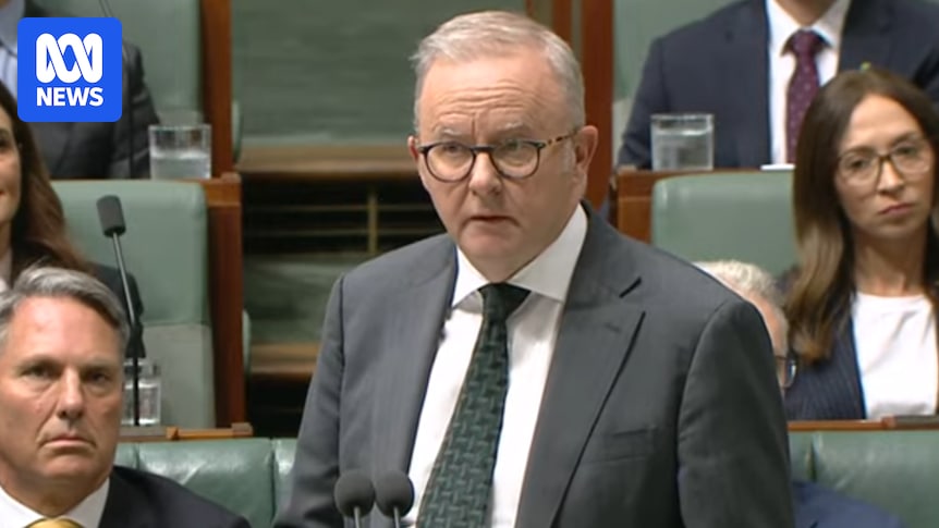 Federal politics: Over 300 petrol stations out of diesel, PM says 'nowhere is immune' to global crisis — as it happened