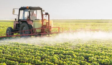 SQM Profit Return And Record Lithium Output Reshape Long Term Growth Prospects