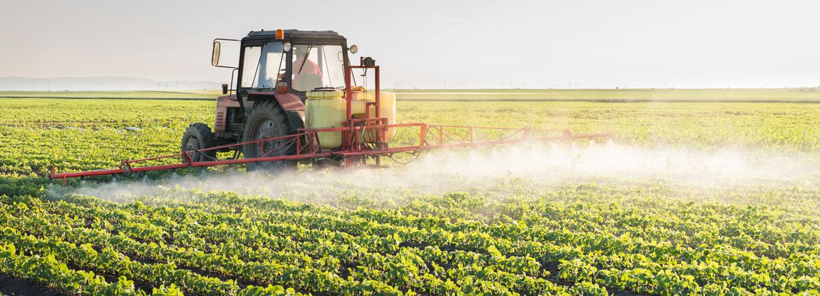 SQM Profit Return And Record Lithium Output Reshape Long Term Growth Prospects