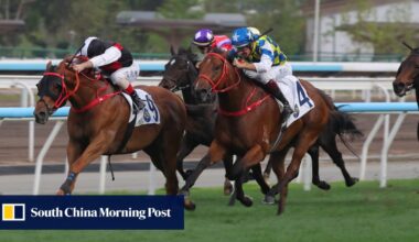 Andrea Atzeni and Francis Lui enjoy doubles as Satono Reve stamps Champions Day ticket in Japan | HK Racing