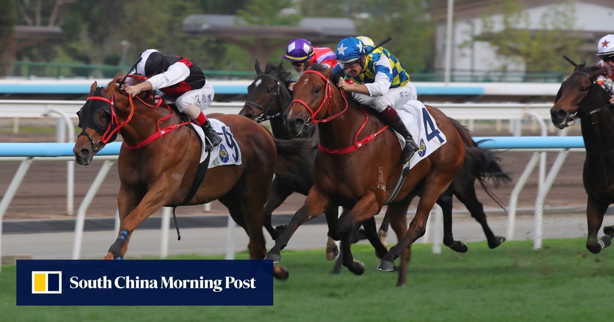 Andrea Atzeni and Francis Lui enjoy doubles as Satono Reve stamps Champions Day ticket in Japan | HK Racing