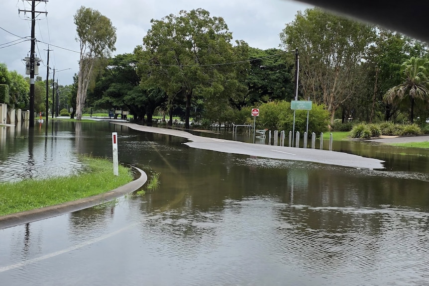 Water surrounds one dry patch of road in a leafy community.