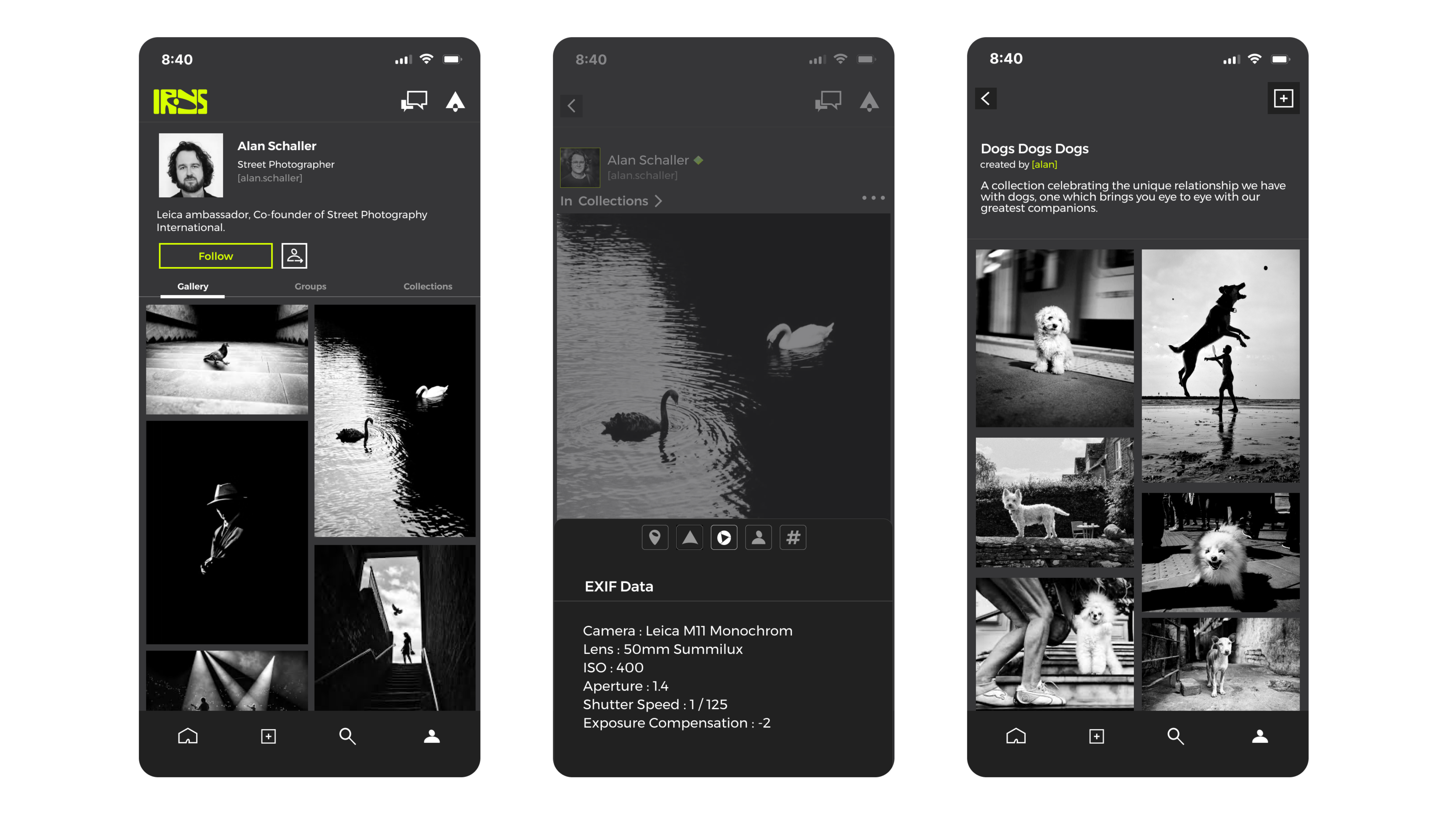 Mobile app interface showcasing a profile for street photographer Alan Schaller, featuring galleries of monochrome images and dog photography