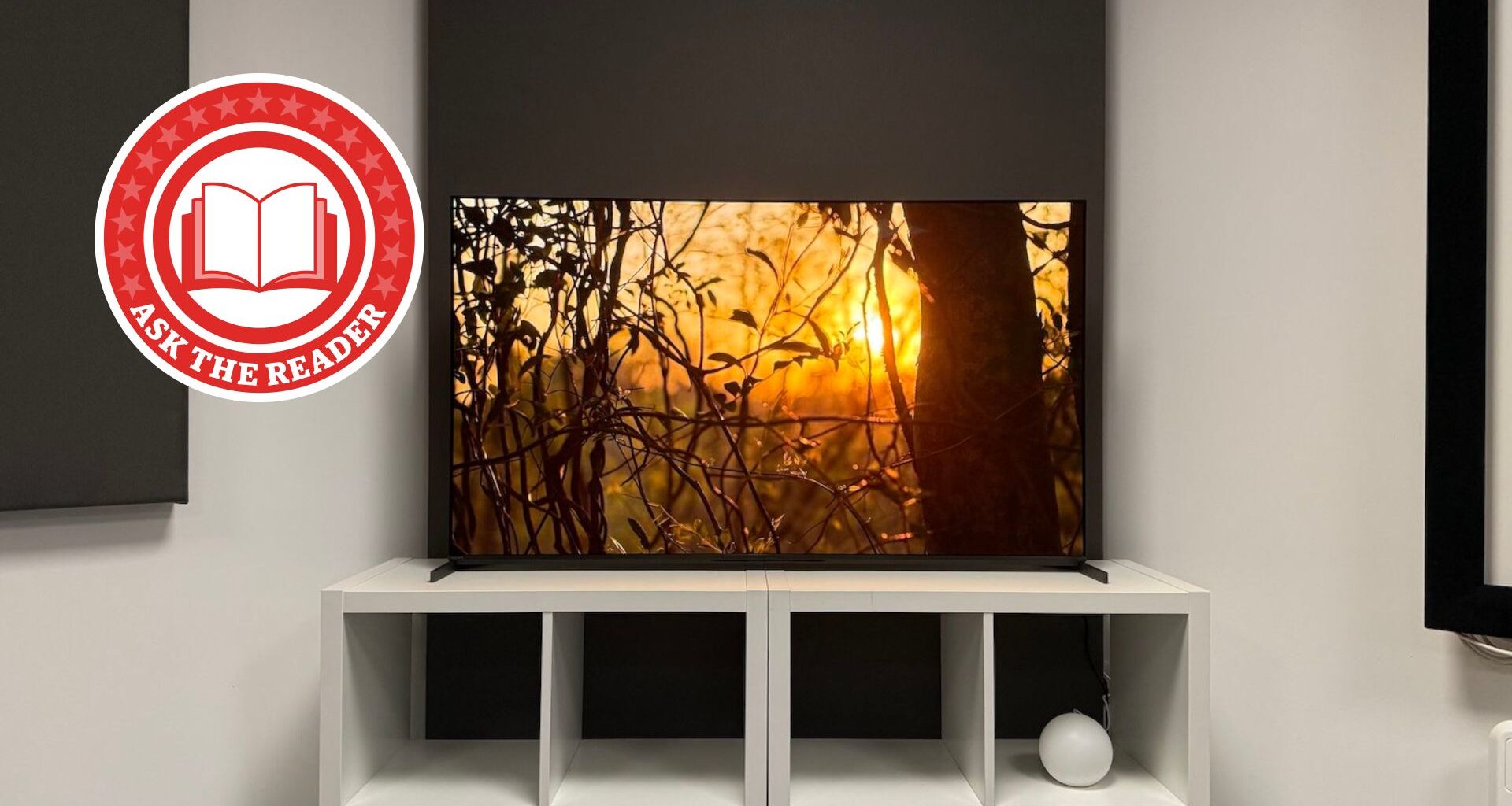 Sony Bravia 8 II with Ask the Reader