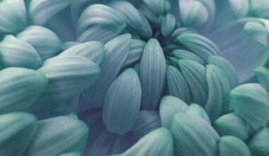 CFTC Issues Significant Staff Advisory on Prediction Markets - Dentons