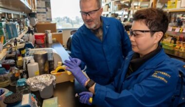 Imbalanced Gut Microbiome Worsens Chronic Kidney Disease