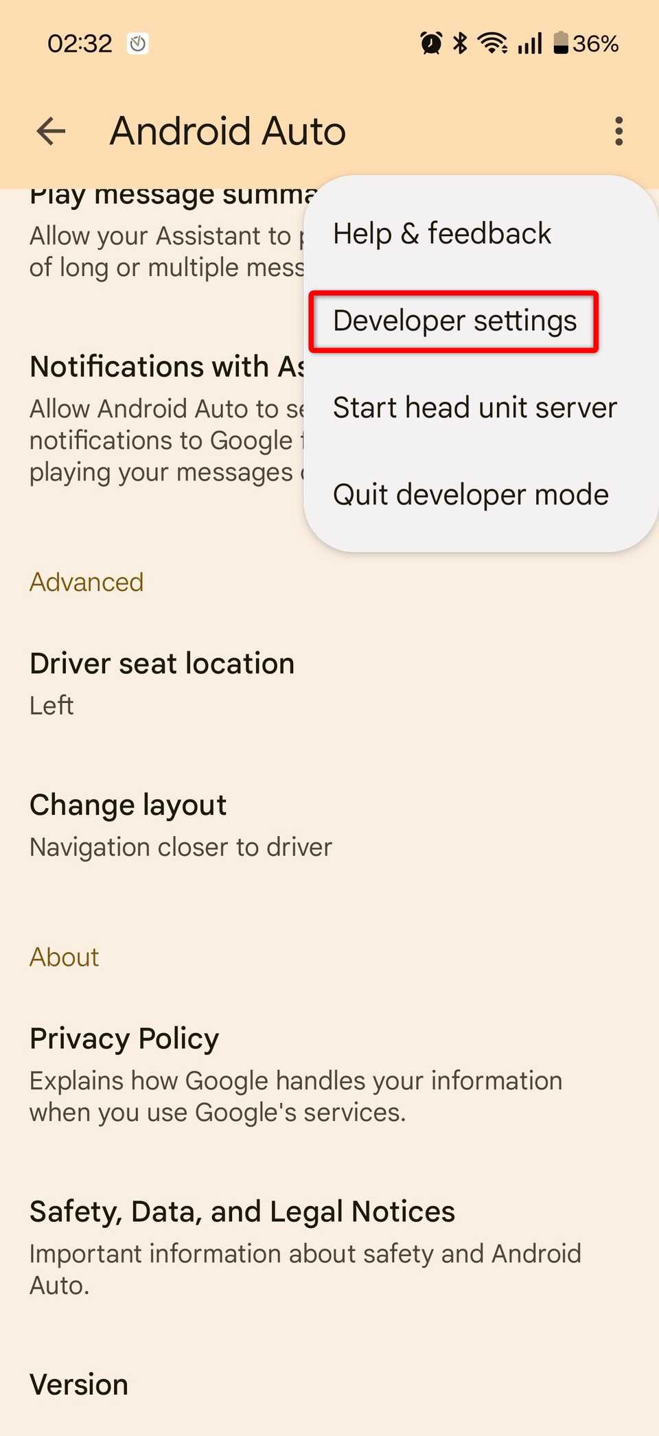 Tap the three-dot menu and open developer settings.