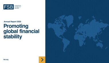 Promoting Global Financial Stability: 2025 FSB Annual Report