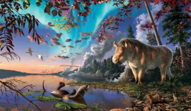 Scientists found a rhino in the Arctic and it changes everything