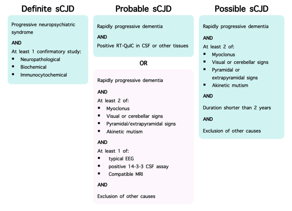 Diagnosis of Sporadic Creutzfeldt-Jakob Disease in Both Kidney Recipients From the Same Donor: Was It Graft Transmission?