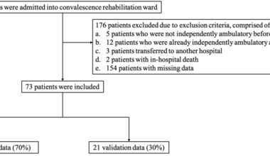 Development of a Gait Independence Prediction Model in Patients With Stroke in a Convalescent Rehabilitation Ward: A Comparison of Decision Tree and Random Forest Models