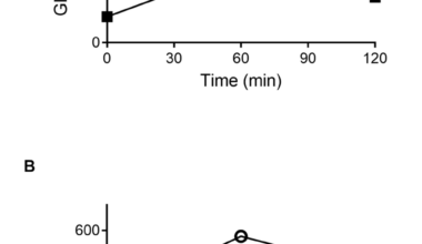 Capivasertib-Induced Diabetes Successfully Managed With Insulin-Independent Glucose-Lowering Agents: A Case Report