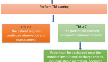 Thoracic Segmental Spinal Anesthesia (TSSA) Recovery Score: A Proposed Tool for Assessing Discharge Readiness After Thoracic Segmental Spinal Anesthesia